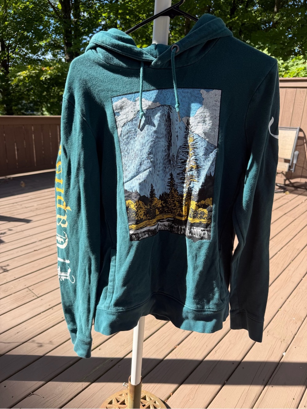 Green Graphic Pullover Hoodie - Scenic Mountain Print Aeropostale